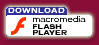 download macromedia Flash Player